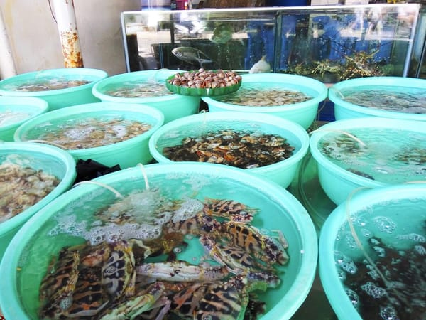 Vietnam: Shopping in Nha Trang: photo 1