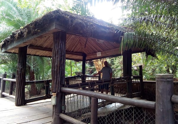 An Afternoon at the Nairobi Safari Walk.: photo 6