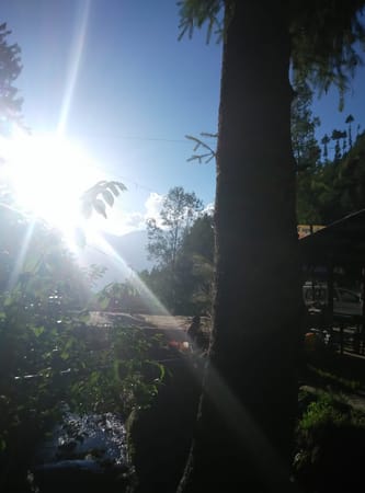 Himachal Pradesh: Travelling like a local (Day1): photo 1