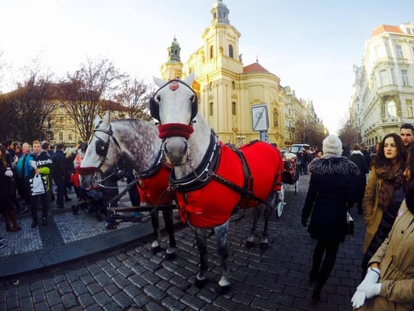 Prague During Christmas: The Magical Winter Wonderland: photo 2