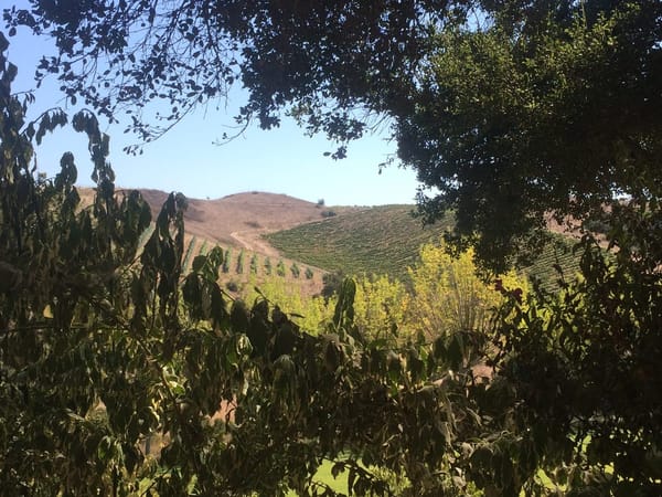 Santa Barbara: California’s Top Destination for Outdoor Fun: photo 3