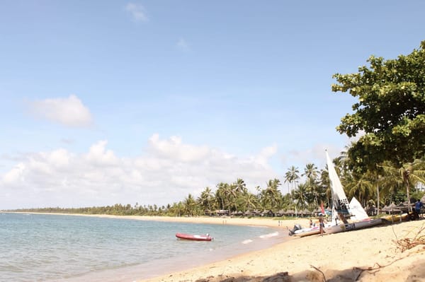 A practical guide to visiting Praia do Forte, Bahia: photo 3