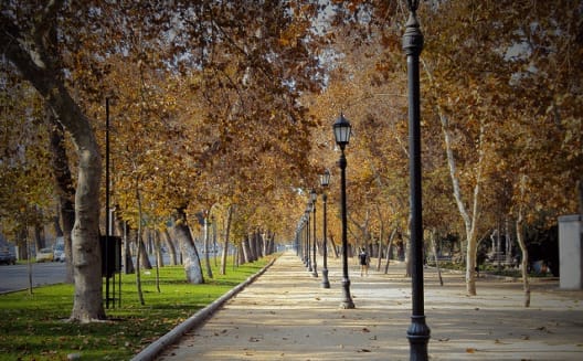 10 THINGS TO DO IN SANTIAGO DE CHILE: photo 7