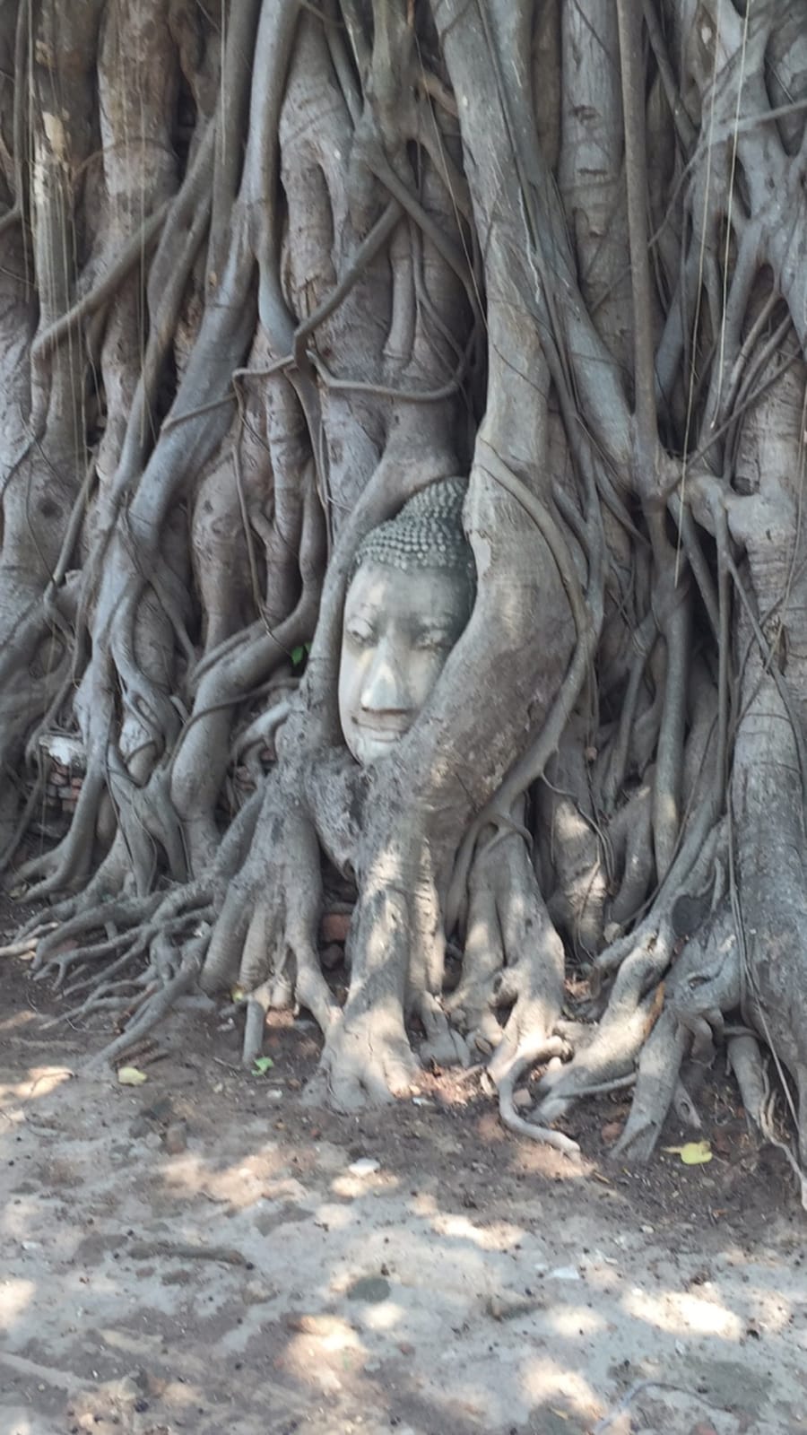 Ayutthaya in a Day: Ten things to see and do in the ancient Thai capital.