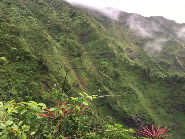 Best things to do in Oahu Hawaii: photo 6