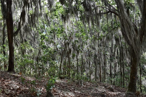 Nicaragua's northern highlands: why you should go: photo 3
