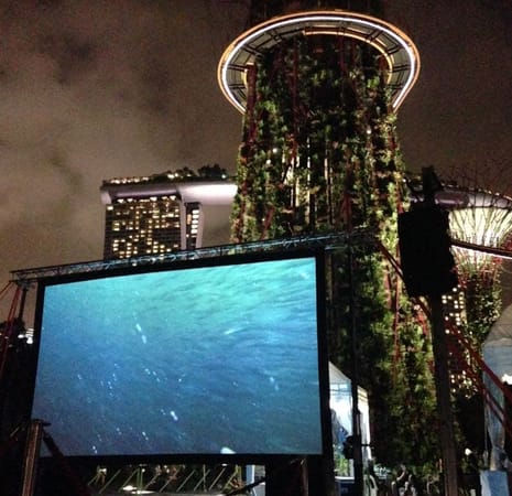 Singapore On A Budget: For Tourists and Locals Alike: photo 3