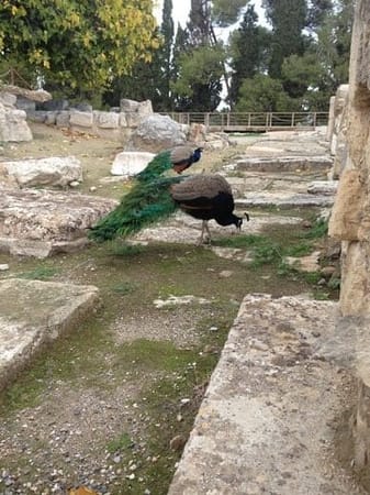Greece: ideas to cheap traveling: photo 2