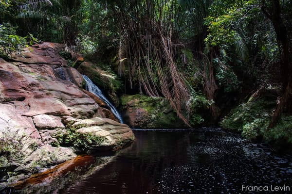 Bako National Park: the complete guide: photo 7