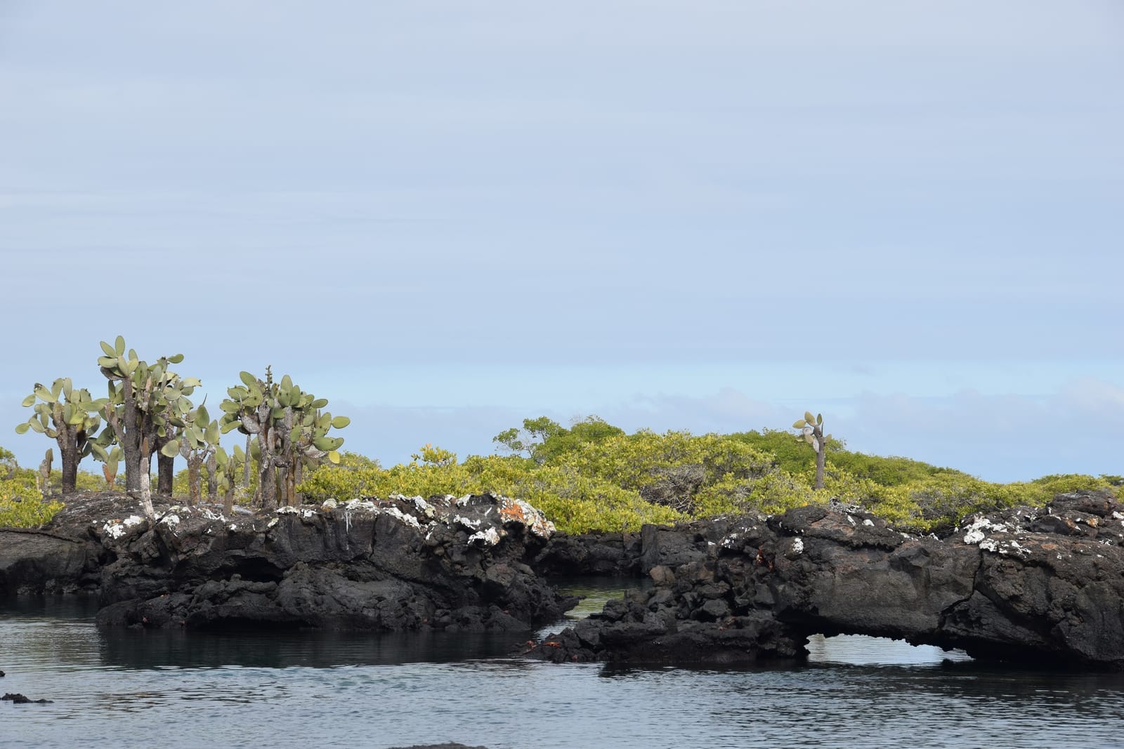 Galapagos, protected islands