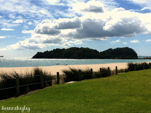Mount Maunganui, New Zealand; A Humble Paradise: photo 4