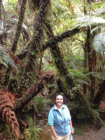 Touring the West Coast of New Zealand’s South Island: photo 4