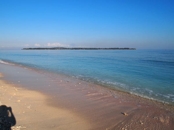 The Gili Islands: Which is the most venomous snake in the world?: photo 8
