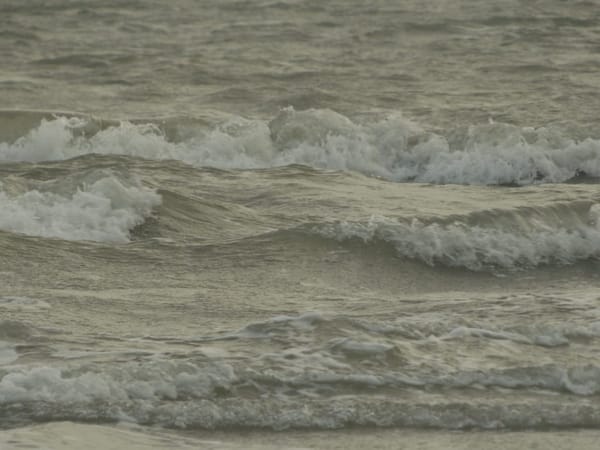 India: Bakkhali - A Lesser Known Serene White Beach: photo 9