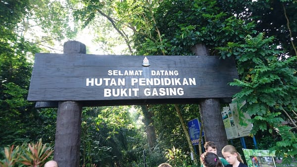 Bukit Gasing: Nature in the City: photo 1