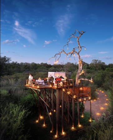 STAR BED SOUTH AFRICAN SAFARI: photo 3