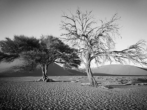 The wonders of Namibia: photo 1