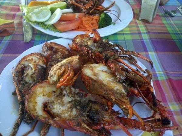 A Native’s Guide to The Island of Antigua: photo 5
