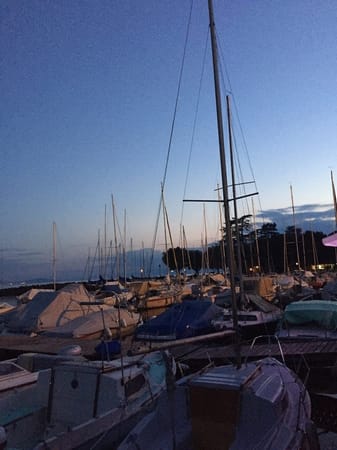 Four Seasons in the Swiss Riviera: photo 6