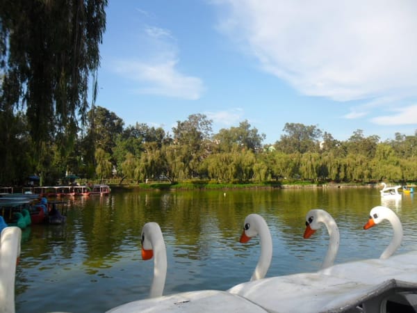 Best Places to Visit in Baguio City: A One-Day Travel Guide: photo 2