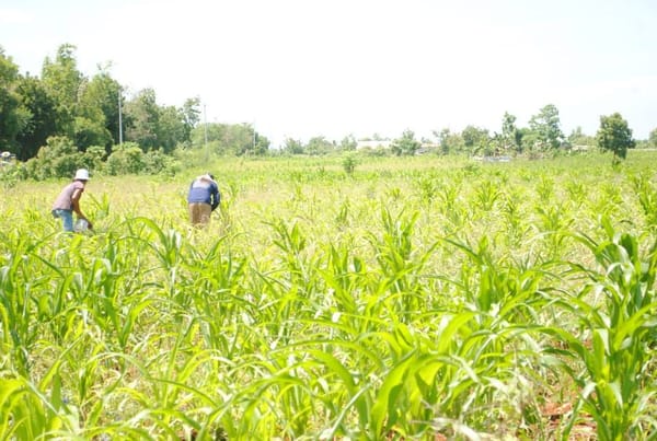 BANTAYAN ISLAND: The First Destination of A Solo Backpacker: photo 8