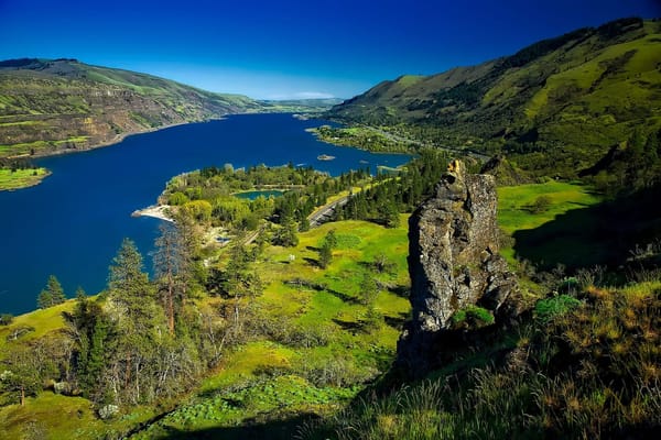 5 Amazing Attractions in Portland, Oregon: photo 4