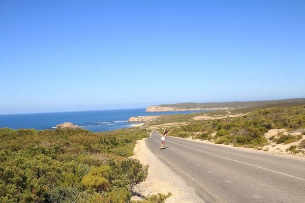 Innes National Park: The Beach Dweller: photo 3