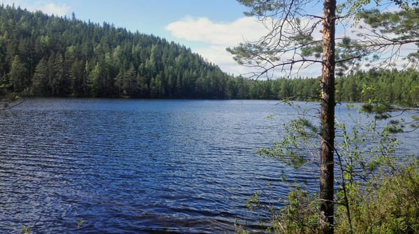 What you must do when you visit Finland: photo 5