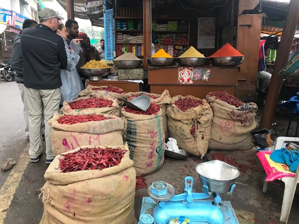 Discover Udaipur, Rajasthan: Shopping, Food and Sights: photo 2