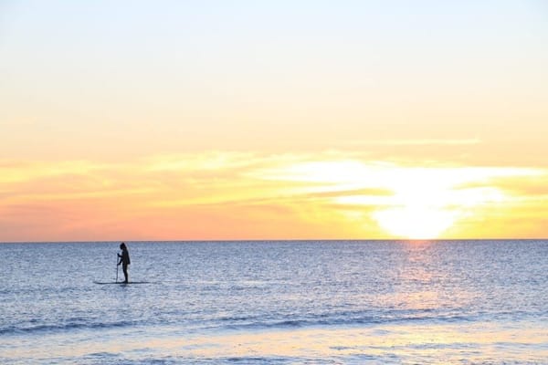 Innes National Park: The Beach Dweller: photo 10
