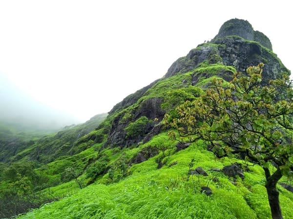 Top 5 One day treks of Pune in India: photo 1