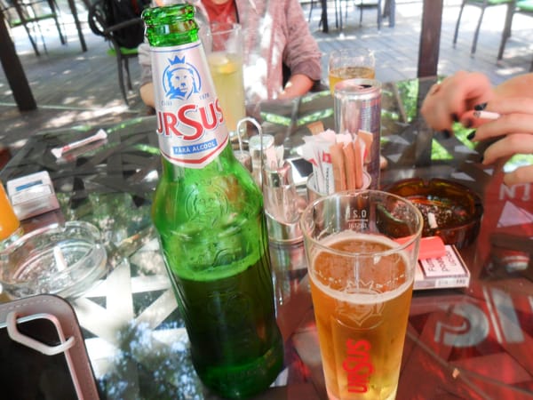 6 Challenges you'll face during your stay in Bucharest (Romania): photo 3