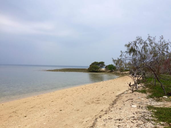 Port of call Noumea: Tourist traps and gems: photo 2