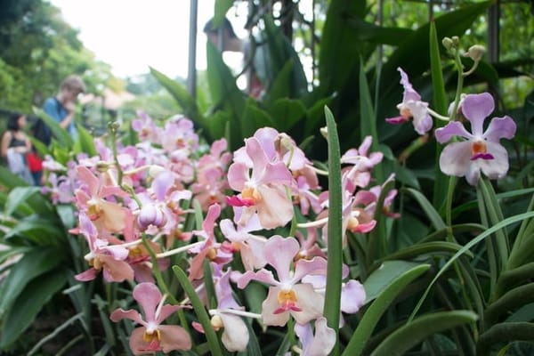 Singapore: Get Closer to Nature: photo 22
