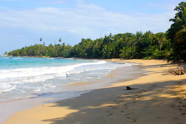 Caribbean Vibes and Pura Vida - Puerto Viejo: photo 7