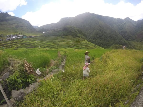 Must see sites at Banaue, Philippines: photo 1