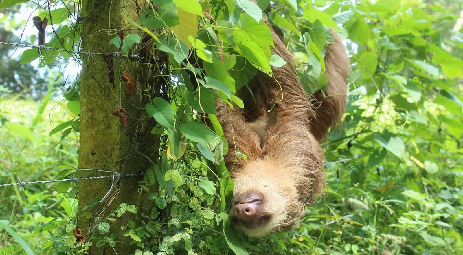 A Travel Guide to Puerto Viejo, Costa Rica