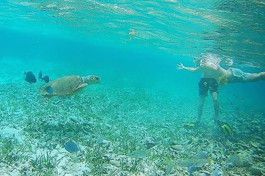 Backpackers Guide to Caye Caulker, Belize