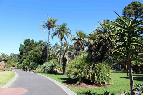 Melbourne, Australia: From Beaches to Food to Things to do: photo 1