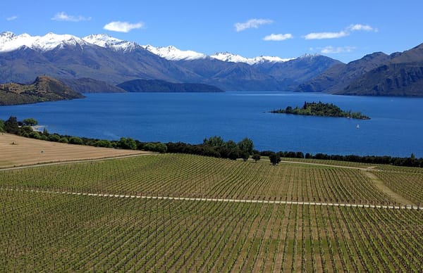 8 Not To Miss Wineries of New Zealand: photo 1