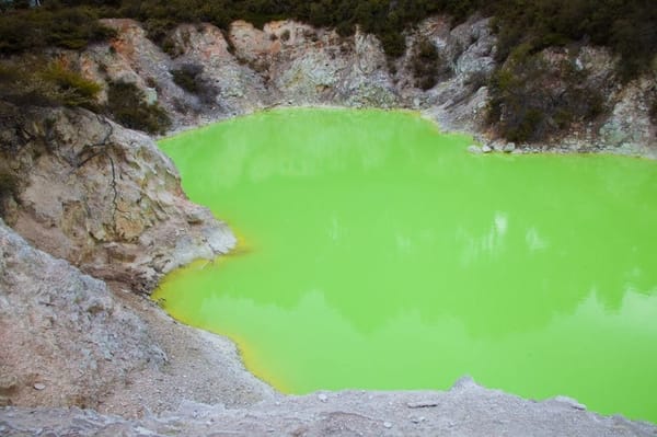 Wai-O-Tapu: the best volcanic park in New Zealand: photo 9
