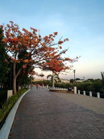 Iloilo City: The Philippines: photo 10