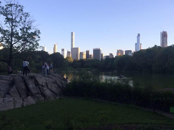 Discovering New York City: a vacation in the Big Apple: photo 2