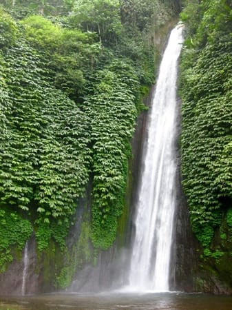 Bali: Guide to the Island of the Gods: photo 8