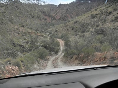Flinders Ranges: Ancient earth and fascinating wildlife: photo 22