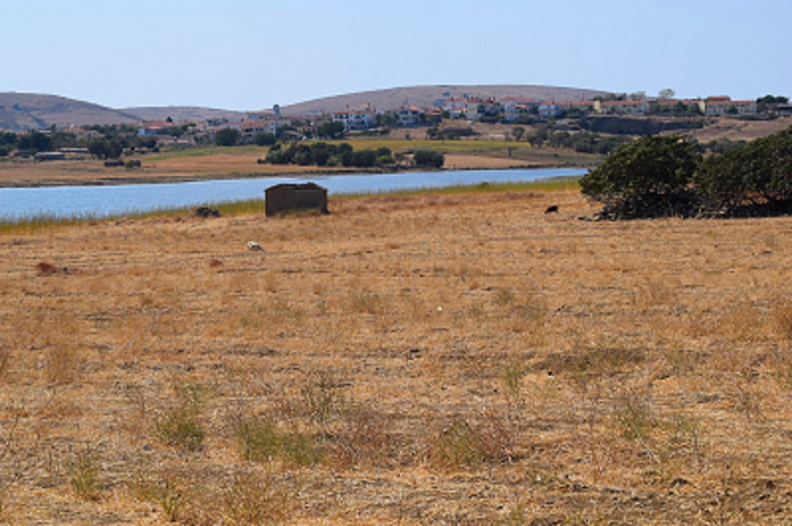 Lemnos, from Northern Aegean to Van Gogh’s fields