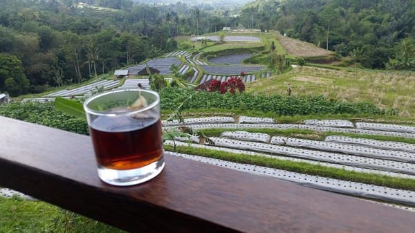 Explore different scenery in 4 days ~ Bali style: photo 1