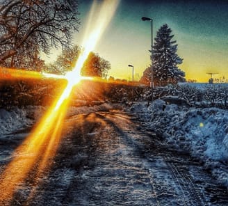 A Turkish Girl Lands in Sweden: photo 12