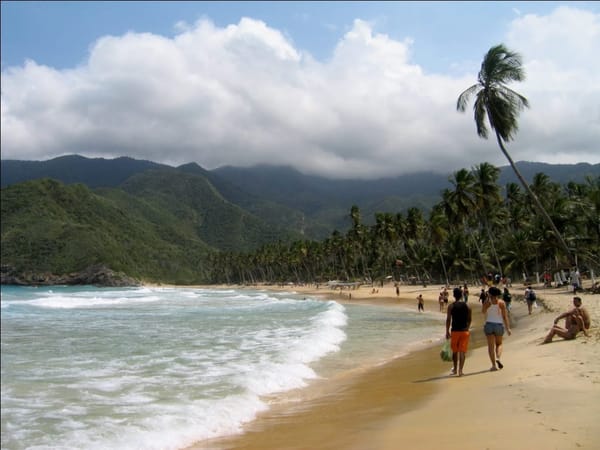 Choroní: Cloud forest, bluegreen beaches, rivers and drums: photo 4