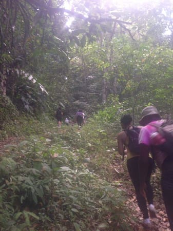 Conquering Paria the Perilous & Turtle Rock: Trinidad and Tobago: photo 26